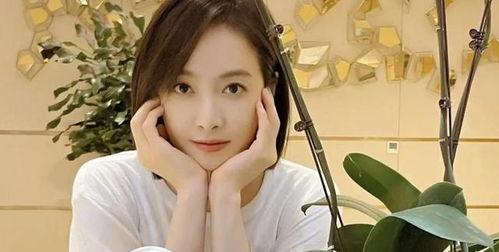 刘大锤爆料宋茜欧豪视频,恋情疑曝光？  第3张